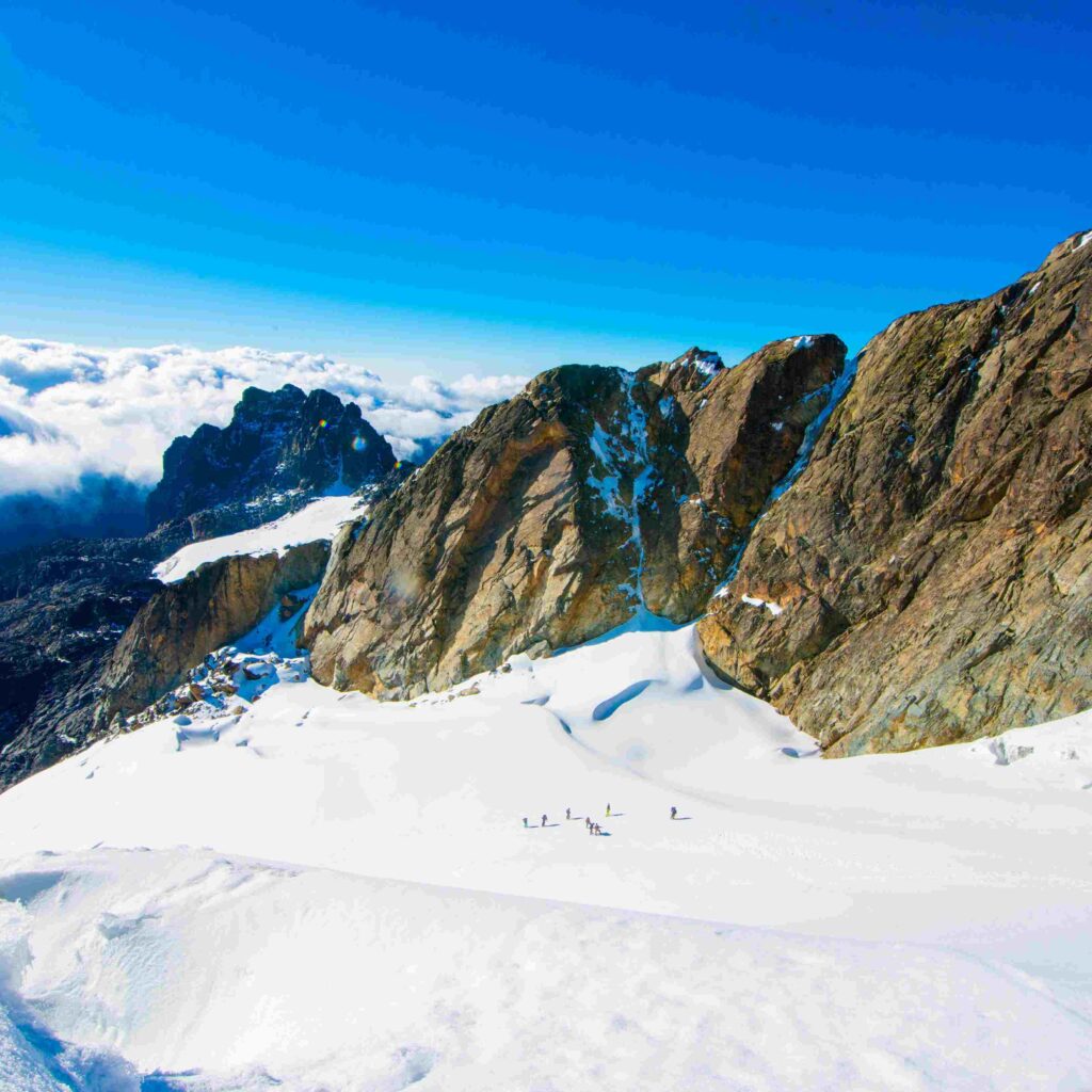 14 Day Rwenzori Hike Wildlife Gorilla Trekking Safari scaled