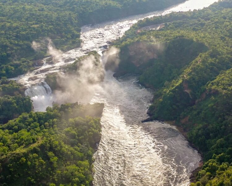 murchison falls uganda