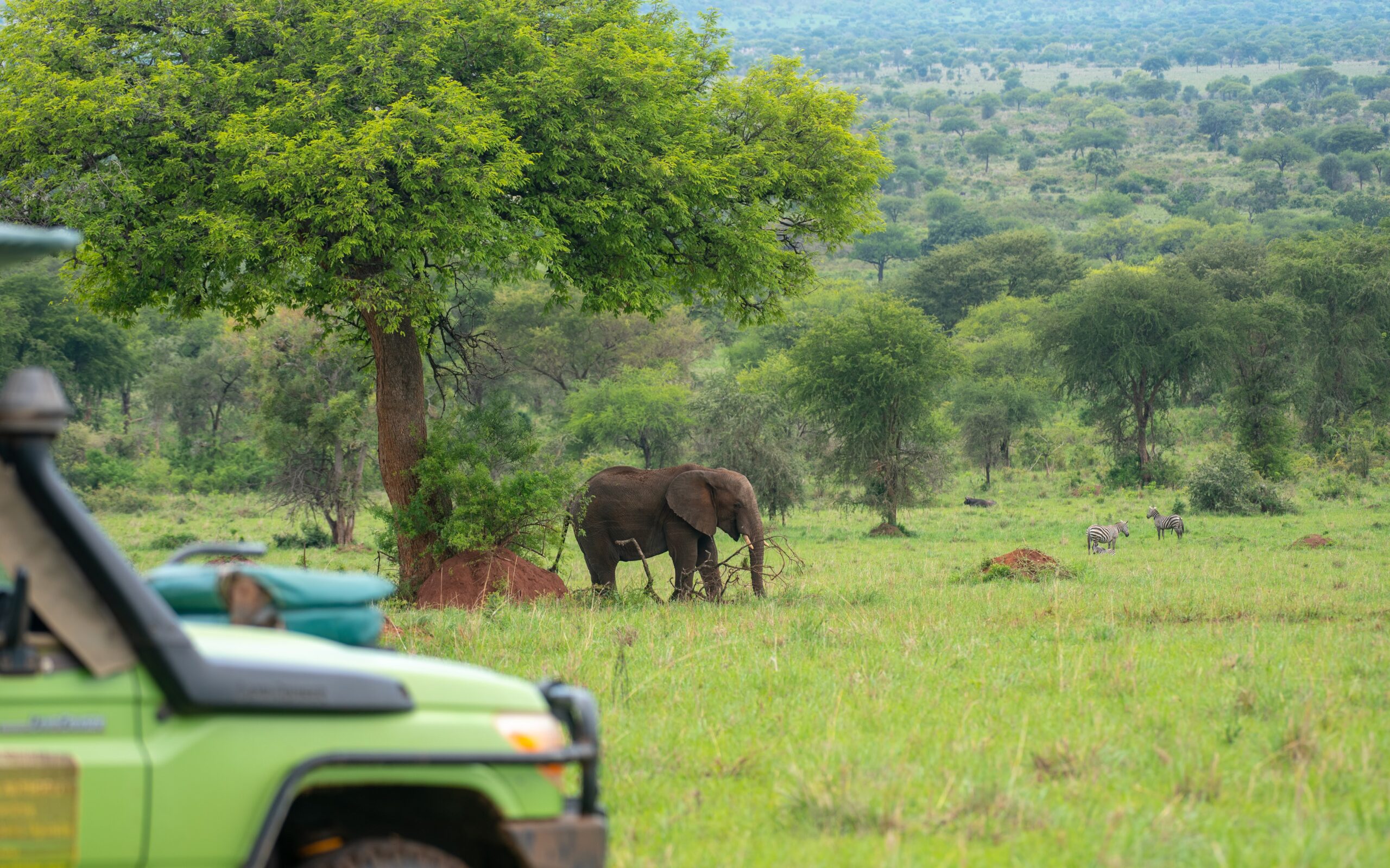 Game Drives Uganda Safari Tours