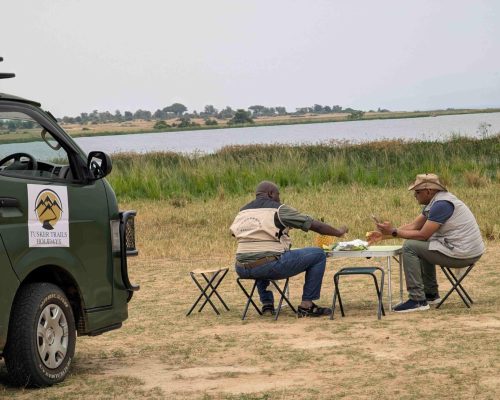 uganda safari tours tusker trails Holidays scaled